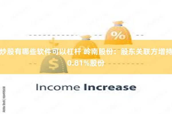 炒股有哪些软件可以杠杆 岭南股份：股东关联方增持0.81%股份