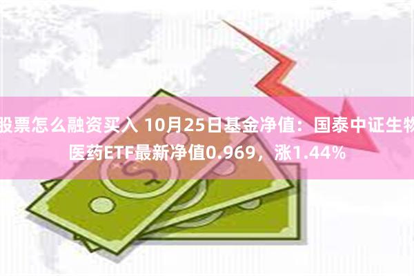 股票怎么融资买入 10月25日基金净值：国泰中证生物医药ETF最新净值0.969，涨1.44%