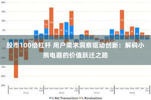 股市100倍杠杆 用户需求洞察驱动创新：解码小熊电器的价值跃