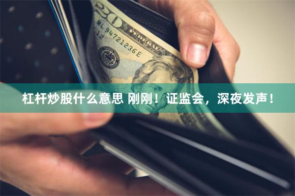 杠杆炒股什么意思 刚刚！证监会，深夜发声！