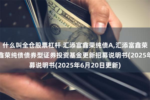 什么叫全仓股票杠杆 汇添富鑫荣纯债A,汇添富鑫荣纯债C: 汇添富鑫荣纯债债券型证券投资基金更新招募说明书(2025年6月20日更新)