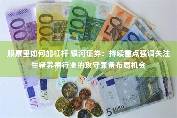 股票里如何加杠杆 银河证券：持续重点强调关注生猪养殖行业的攻