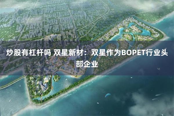 炒股有杠杆吗 双星新材：双星作为BOPET行业头部企业