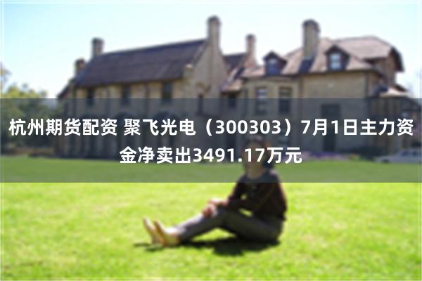杭州期货配资 聚飞光电（300303）7月1日主力资金净卖出3491.17万元