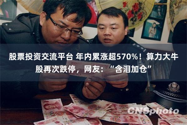 股票投资交流平台 年内累涨超570%！算力大牛股再次跌停，网友：“含泪加仓”