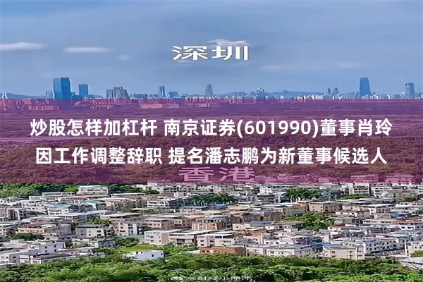 炒股怎样加杠杆 南京证券(601990)董事肖玲因工作调整辞职 提名潘志鹏为新董事候选人