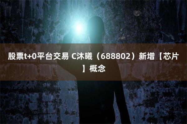 股票t+0平台交易 C沐曦（688802）新增【芯片】概念