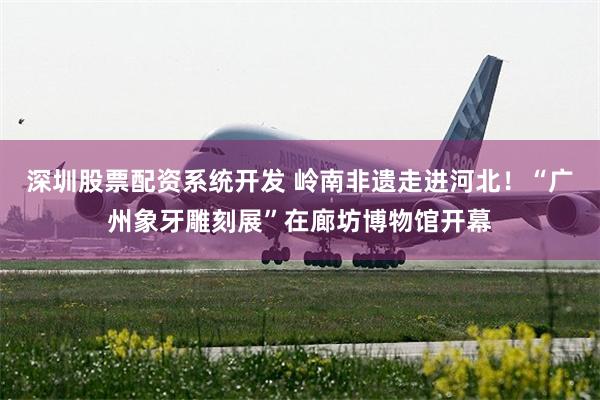 深圳股票配资系统开发 岭南非遗走进河北！“广州象牙雕刻展”在廊坊博物馆开幕